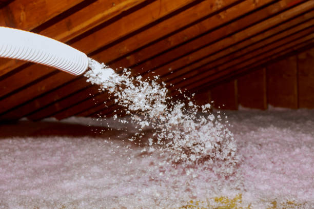 Best Home Insulation Services  in Freedom, PA