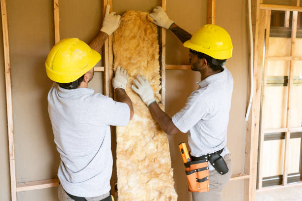 Best Insulation Replacement Services  in Freedom, PA