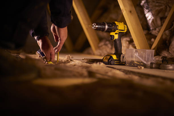 Best Insulation Contractors for Homes  in Freedom, PA